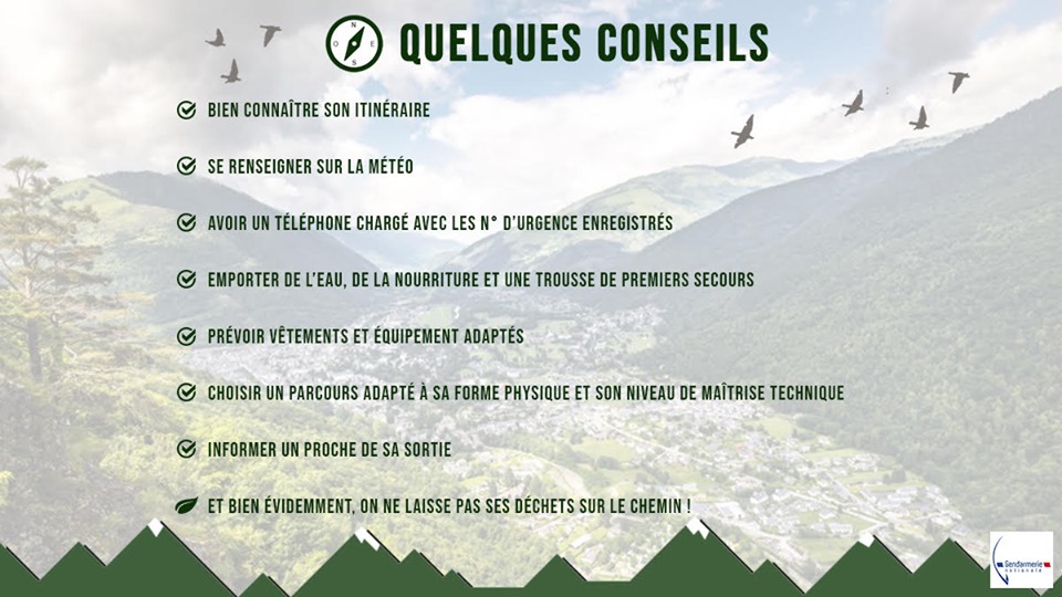 🥾 RANDONNÉE EN FORÊT : SÉCURITÉ AVANT TOUT 🌲