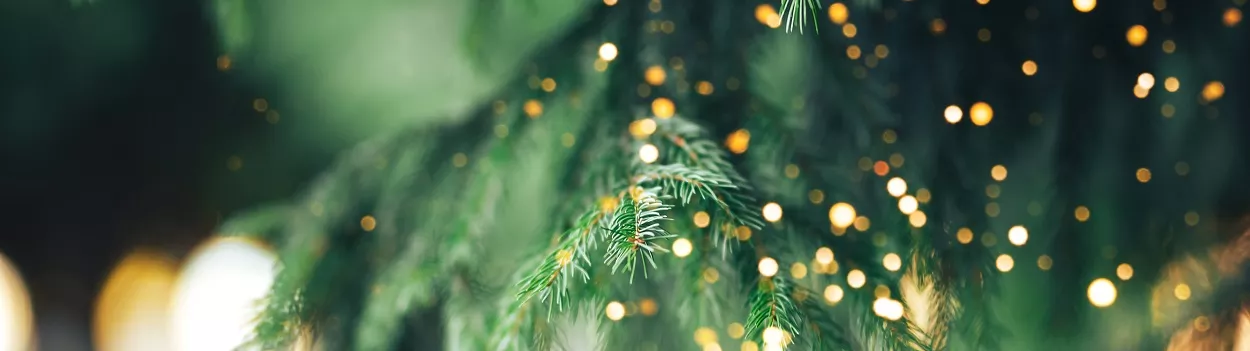 🎄 Décorations : Attention au risque d'incendie !