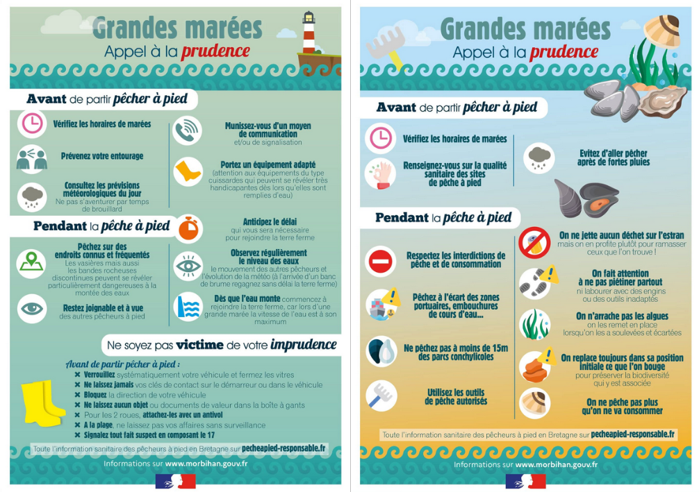 Grandes marées |🐚⚠️