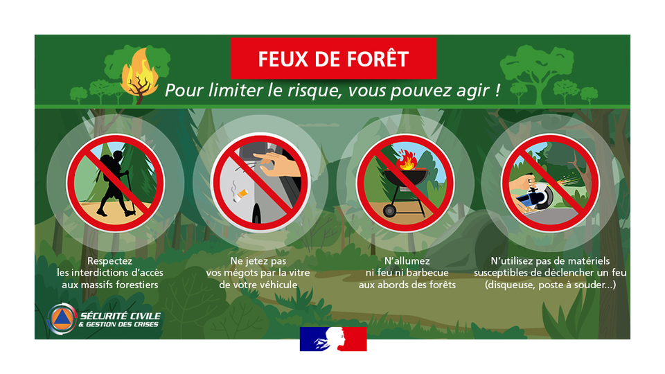 🔥 Prévention des feux de forêts 🚒 